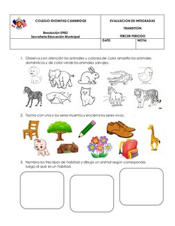 1. Observa con atención los animales y colorea de color amarillo los animales 
domésticos y de color verde los animales