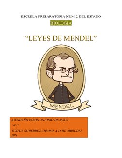 ESCUELA PREPARATORIA NUM. 2 DEL ESTADO
BIOLOGIA
“LEYES DE MENDEL”
AVENDAÑO BARON ANTONIO DE JESUS
“6º I”
TUXTLA GUTIERREZ CHI