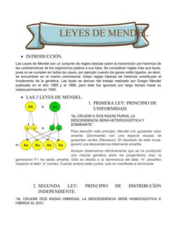 INTRODUCCIÓN.
Las Leyes de Mendel son un conjunto de reglas básicas sobre la transmisión por herencia de
las características