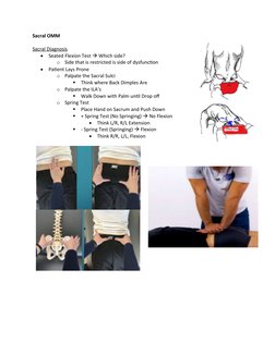 Sacral OMM Diagnosis Techniques | PDF | Anatomical Terms Of Motion ...