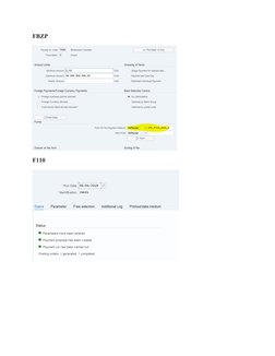 F110 Payment Proposal Process Guide | PDF