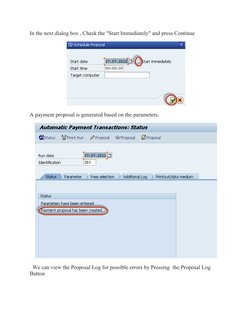 F110 Payment Proposal Process Guide | PDF