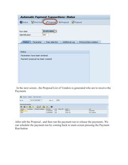 F110 Payment Proposal Process Guide | PDF