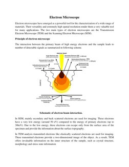 SEM vs TEM: Key Differences Explained | PDF | Scanning Electron ...