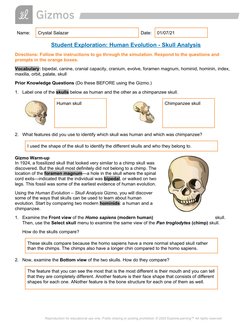 Crystal Salazar - Comparative Anatomy Skull Analysis Gizmo | PDF | Homo ...