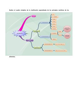Realice  el  cuadro  sinóptico  de  la  clasificación  especializada  de  los  principios  nutritivos  de  los
alimentos.