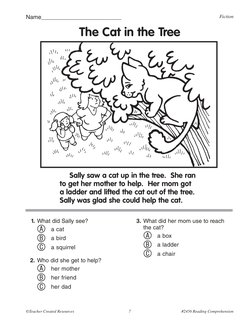 ©Teacher Created Resources	
7	
#2456 Reading Comprehension
Name_________________________
Fiction
The Cat in the Tree
Sally sa