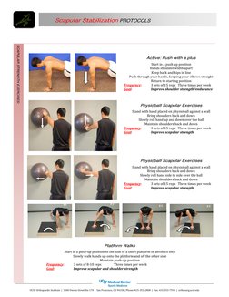 Scapular Stabilization Exercise Protocols | PDF | Shoulder | Strength ...