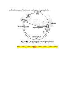 such as Ectocarpus, Polysiphonia and kelps are haplodiplontic.
                        
                          ***********