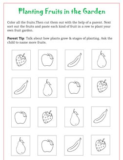 Planting Fruits in the Garden
Color all the fruits.Then cut them out with the help of a parent. Next 
sort out the fruits and