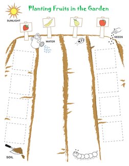 Planting Fruits in the Garden
SOIL
SUNLIGHT
SEEDS
WATER
