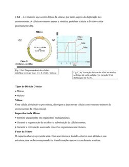  G2 – é o intervalo que ocorre depois da síntese, por tanto, depois da duplicação dos
cromossomas. A célula novamente cresce