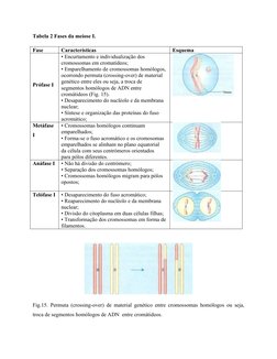 Tabela 2 Fases da meiose I.
Fase
Características
Esquema
Prófase I
• Encurtamento e individualização dos
cromossomas em croma