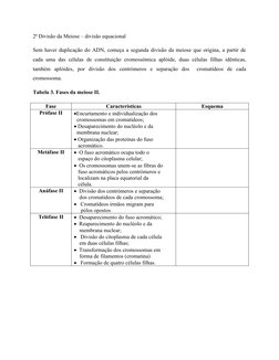 2ª Divisão da Meiose – divisão equacional 
Sem haver duplicação do ADN, começa a segunda divisão da meiose que origina, a par