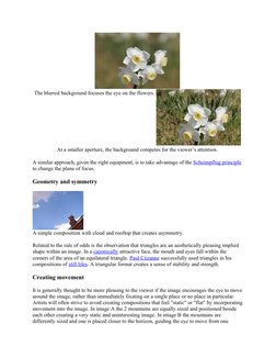 (https://en.wikipedia.org/wiki/File:Composition_with_cloud.JPG) (https://en.wikipedia.org/wiki/File:Jonquil_flowers_at_f32.j