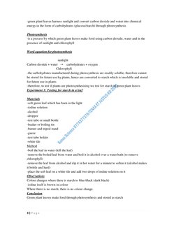 3 | P a g e
-green plant leaves harness sunlight and convert carbon dioxide and water into chemical
energy in the form