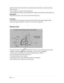 8 | P a g e
-light the mealie-meal in the dish with a match and remove the burner so that the meal can
burn on its own