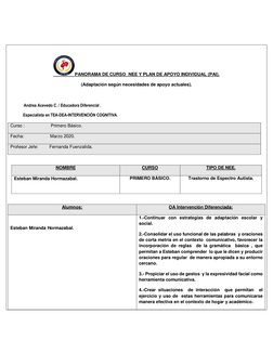 PANORAMA DE CURSO  NEE Y PLAN DE APOYO INDIVIDUAL (PAI). 
(Adaptación según necesidades de apoyo actuales). 
 
Andrea Ace
