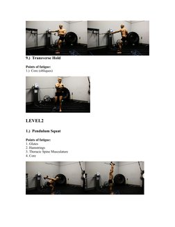 9.)  Transverse Hold
Points of fatigue:
1.)  Core (obliques)
LEVEL2
1.)  Pendulum Squat
Points of fatigue:
1. Glutes
2. Hamst