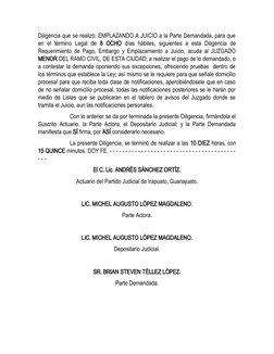 Diligencia que se realizó; EMPLAZANDO A JUICIO a la Parte Demandada, para que
en el término Legal  de  8 OCHO días hábiles,