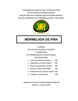 UNIVERSIDAD NACIONAL DEL CENTRO DEL PERÚ
FACULTAD DE INGENIERÍA QUÍMICA
DEPARTAMENTO ACADÉMICO DE INGENIERÍA QUÍMICA
ESCUELA