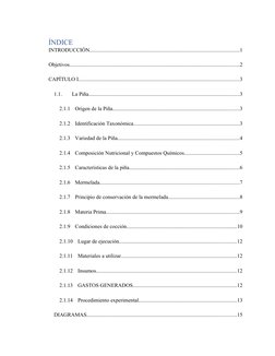 ÍNDICE
INTRODUCCIÓN..........................................................................................................