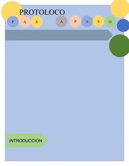 A
S
A
O
S
A
P
P
PROTOLOCO
INTRODUCCION
