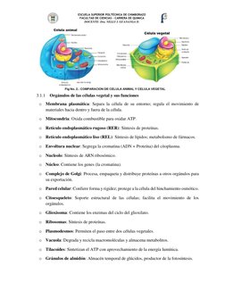 ESCUELA SUPERIOR POLTÉCNICA DE CHIMBORAZO 
FACULTAD DE CIENCIAS – CARRERA DE QUIMICA 
DOCENTE: Dra. NELLY I. GUANANGA D.