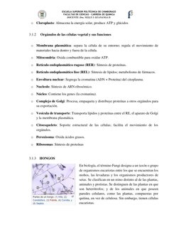 ESCUELA SUPERIOR POLTÉCNICA DE CHIMBORAZO 
FACULTAD DE CIENCIAS – CARRERA DE QUIMICA 
DOCENTE: Dra. NELLY I. GUANANGA D. 
 
o