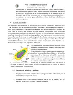 ESCUELA SUPERIOR POLTÉCNICA DE CHIMBORAZO 
FACULTAD DE CIENCIAS – CARRERA DE QUIMICA 
DOCENTE: Dra. NELLY I. GUANANGA D. 
 
L