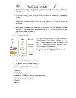 ESCUELA SUPERIOR POLTÉCNICA DE CHIMBORAZO 
FACULTAD DE CIENCIAS – CARRERA DE QUIMICA 
DOCENTE: Dra. NELLY I. GUANANGA D. 
 
o