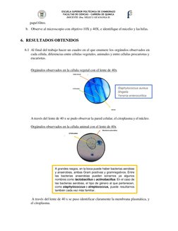ESCUELA SUPERIOR POLTÉCNICA DE CHIMBORAZO 
FACULTAD DE CIENCIAS – CARRERA DE QUIMICA 
DOCENTE: Dra. NELLY I. GUANANGA D. 
 
p