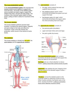 The musculoskeletal system
In the musculoskeletal system, the muscular and 
skeletal systems work together to support and 
mo
