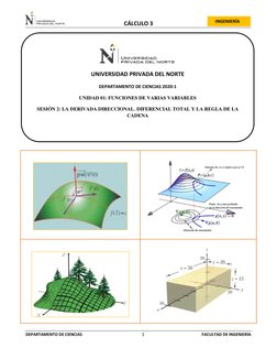 DEPARTAMENTO DE CIENCIAS                                                     1