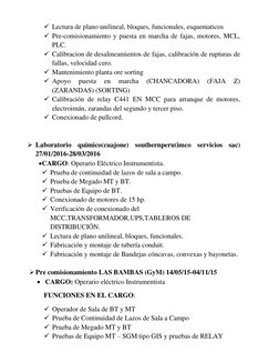  Lectura de plano unilineal, bloques, funcionales, esquematicos 
 Pre-comisionamiento y puesta en marcha de fajas, motores,