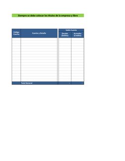 Siempre se debe colocar los titulos de la empresa y libro
Cuenta y Detalle
Saldo Cuenta
Total General