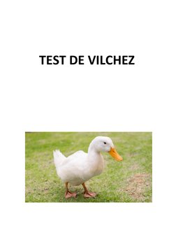  
 
  TEST DE VILCHEZ 
 
 
 
 
  
