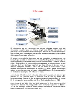 El Microscopio
El  microscopio  es  un  instrumento  que  permite  observar  objetos  que  son
demasiado pequeños para ser vi