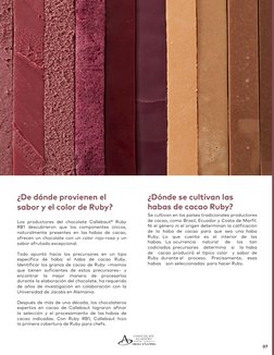 ¿Dónde se cultivan las 
habas de cacao Ruby?
Se cultivan en los países tradicionales productores 
de cacao, com
o Brasil, Ecu