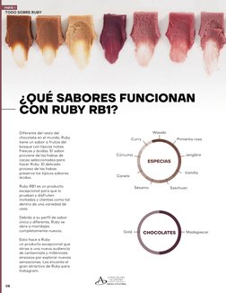 ¿QUÉ SABORES FUNCIONAN 
CON RUBY RB1?
PARTE 1
TO
DO
 SO
BRE RUBY
08
Diferente del resto del 
chocolate en el m
undo, Ruby 
ti