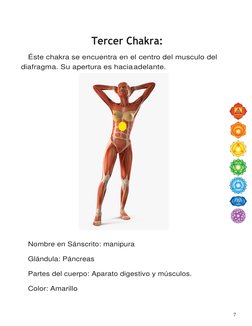 7 
 
 
Tercer Chakra: 
Éste chakra se encuentra en el centro del musculo del 
diafragma. Su apertura es hacia adelante. 
 
No