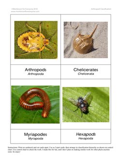 Instructions: Print on cardstock and cut cards apart. Use as 3-part cards, then arrange in classification hierarchy as shown