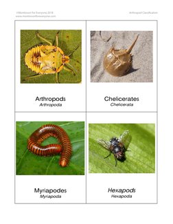 ©Montessori for Everyone 2018