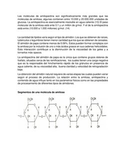 Las moléculas de amilopectina son significativamente más grandes que las 
moléculas de amilosa; algunas contienen entre 10.00
