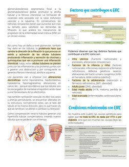 glomeruloesclerosis 
segmentaria 
focal 
a 
la 
glomeruloesclerosis global, promueve la atrofia 
tubular y la fibrosis inters