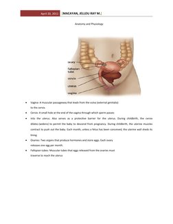 April 20, 2011
[MACAYAN, JELLOU RAY M.]
Anatomy and Physiology

Vagina: A muscular passageway that leads from the vulva (ext
