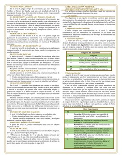 ARTÍFICE ESPECIALISTA 
En el nivel 3, eliges el tipo de especialista que eres: Alquimista, 
Artillero o Herrero de Batalla, c