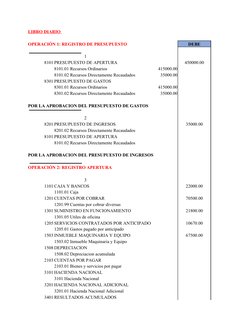 LIBRO DIARIO 
OPERACIÓN 1: REGISTRO DE PRESUPUESTO 
DEBE
1
8101 PRESUPUESTO DE APERTURA
450000.00
8101.01 Recursos Ordinarios