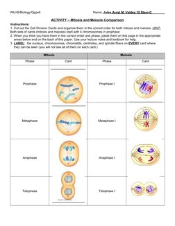 WLHS/Biology/Oppelt  
 
 
 
 
 Name: Jules Arnel M. Valdez 12 Stem-C
 
ACTIVITY – Mitosis and Meiosis Comparison 
Instruction