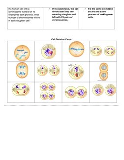 If a human cell with a 
chromosome number of 46 
undergoes each process, what 
number of chromosomes will be 
in each daughte
